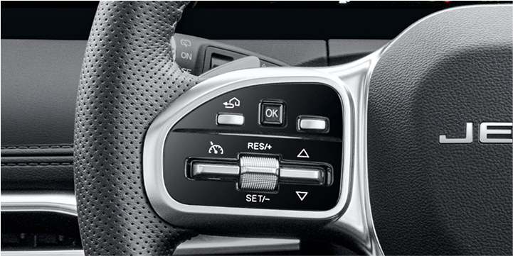 Fun to Drive with Paddle Shift